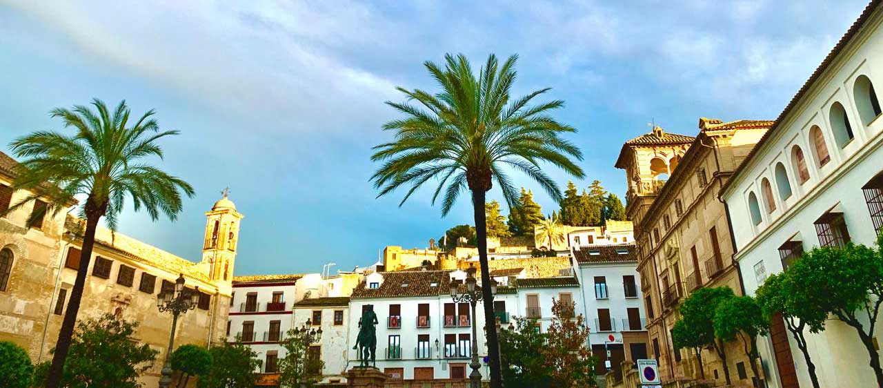 Antequera patrimonio de la humanidad con sus palmeras bajo el sol